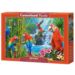 Пъзел 2000 ел. Castorland Папагалска среща 200870