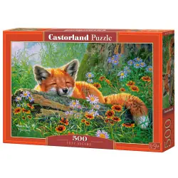 Пъзел 500 ел. Castorland  Лисичи мечти 53872