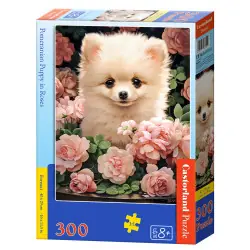 Пъзел 300 ел. Castorland Померанче в рози B-030552