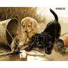 Рисуване по номера 40х50