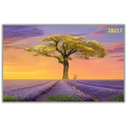 Картина за изграждане с камъчета 30х20 см.,22х28см./28217