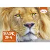 Блок ММ офсет 120гр