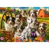 Пъзел 260 ел. Castorland Щастливи кучета  27699