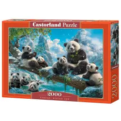 Пъзел 2000 ел. Castorland Зимни занимания на пандите 201013