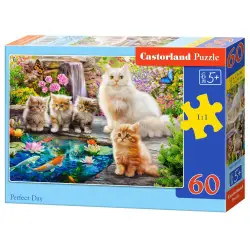 Пъзел 60 ел. Castorland Перфектен ден  066377