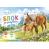 Блок ММ кадастрон