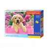 Пъзел 300 ел. Castorland Бебе лабрадор в розова кутия 030071