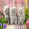 Пъзел 300 ел. Castorland Три малки котенца 030330